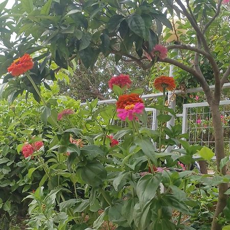 Garden Rooms Химар Екстериор снимка
