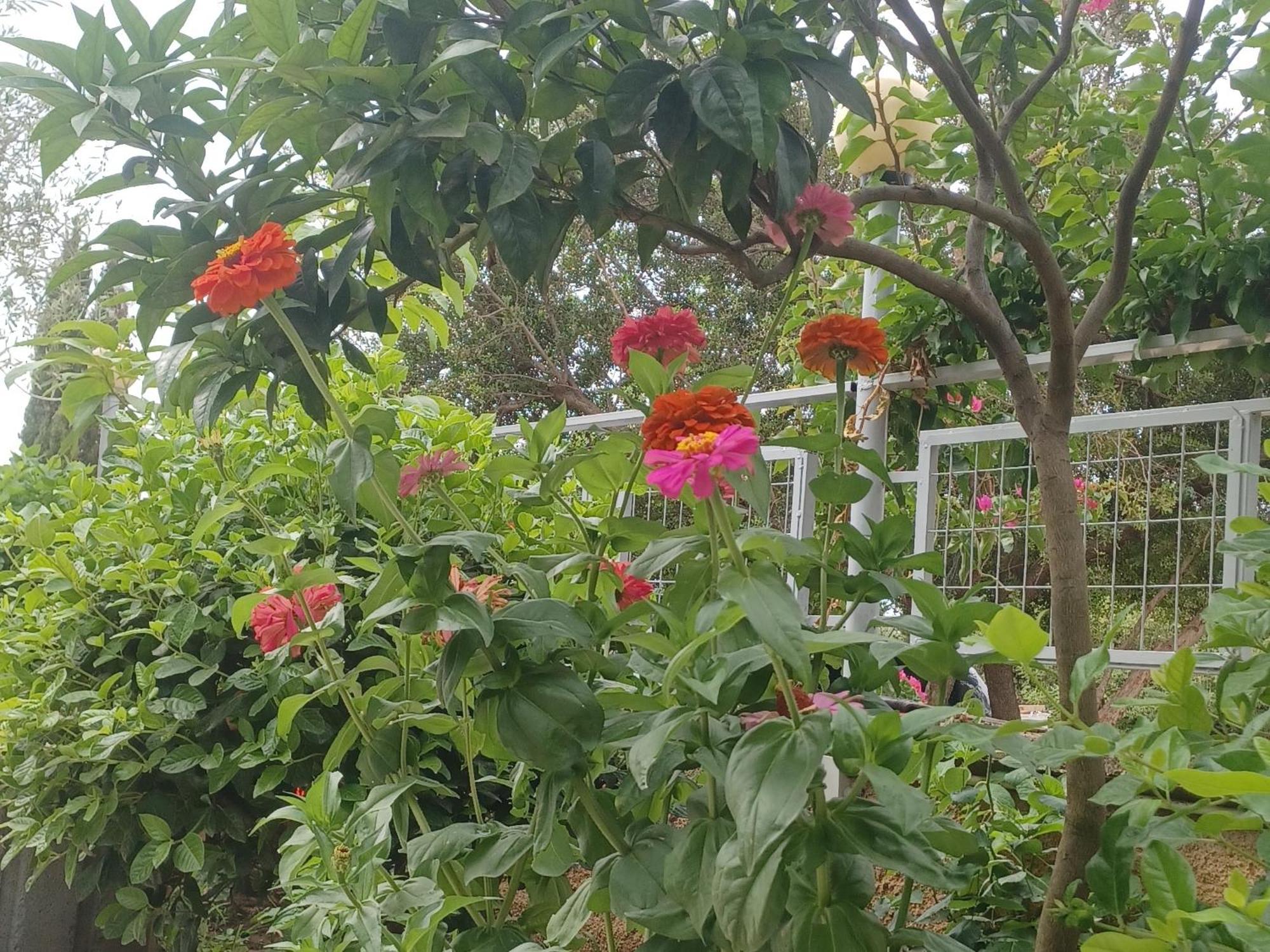 Garden Rooms Химар Екстериор снимка